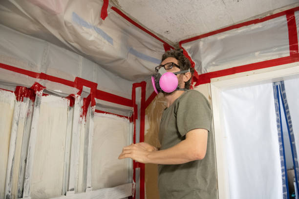  Pupukea, HI Mold Removal Pros
