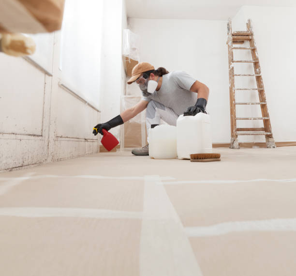 Best Asbestos and Lead Testing During Mold Inspection  in Pupukea, HI